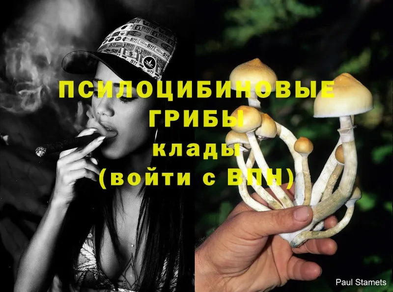 ОМГ ОМГ вход  Арсеньев  Галлюциногенные грибы Magic Shrooms 